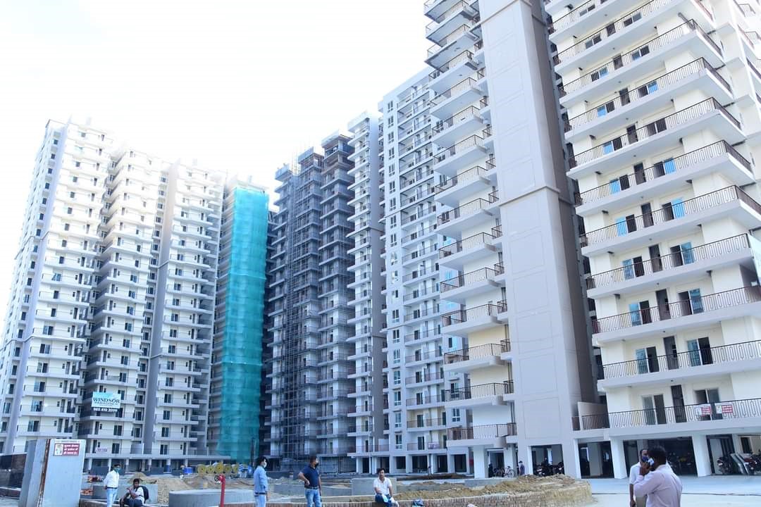 flats on rent in 